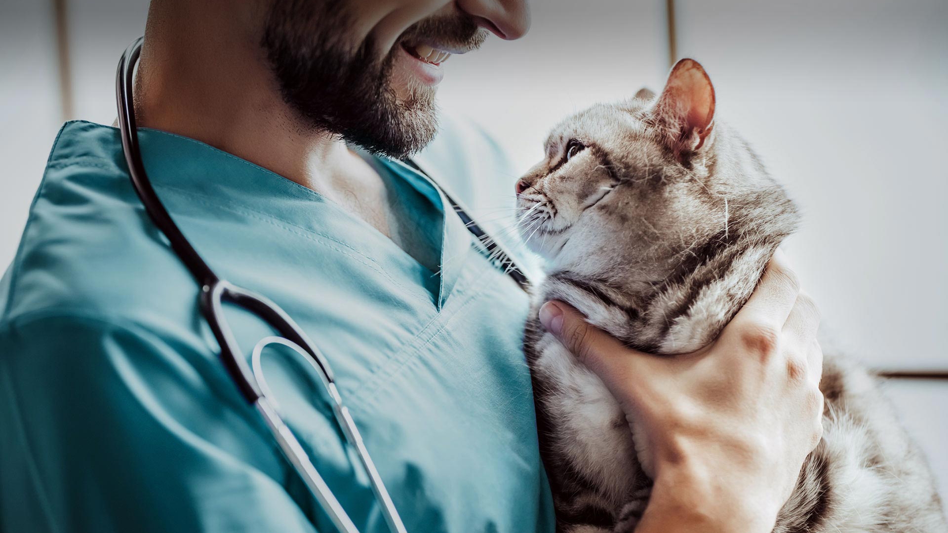 Köprübaşı Veteriner